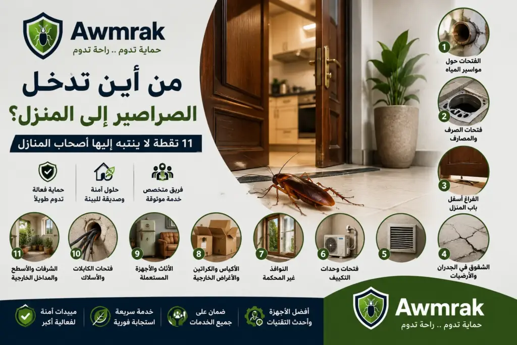من أين تدخل الصراصير إلى المنزل