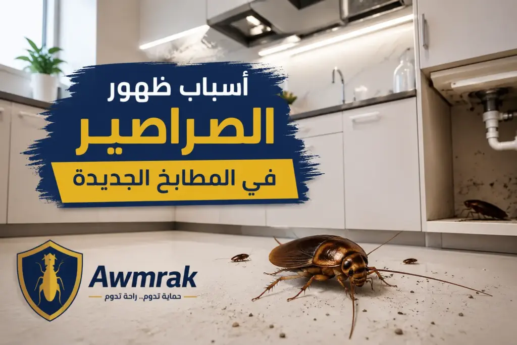 أسباب ظهور الصراصير في المطابخ الجديدة