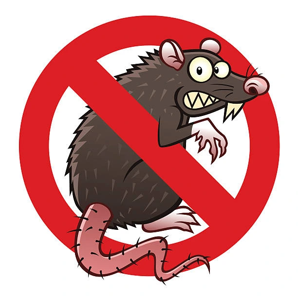 مكافحة و ابادة فئران